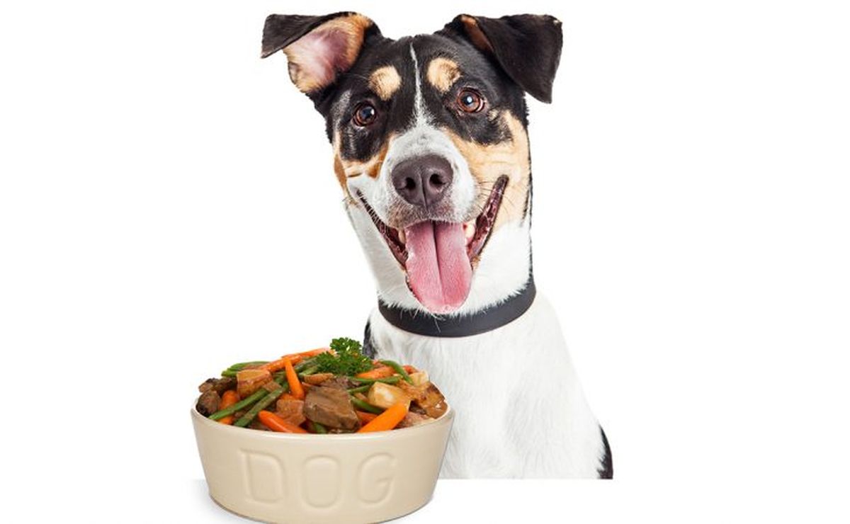 Ce sont des aliments pour chiens peu coûteux que vous pouvez préparer chez vous. 