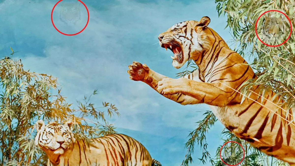 Test d'illusion d'optique : Combien de tigres y a-t-il ? Pouvez-vous les trouver tous en 8 secondes ?