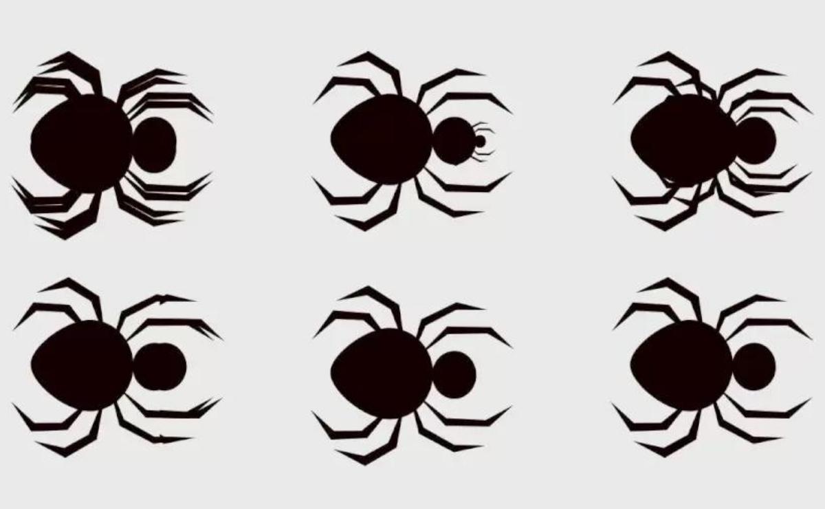 Mira con detenimiento la imagen del acertijo visual y dinos cuántas arañas hay.