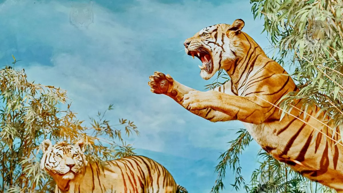 Test d'illusion d'optique : Combien de tigres y a-t-il ? Pouvez-vous les trouver tous en 8 secondes ?