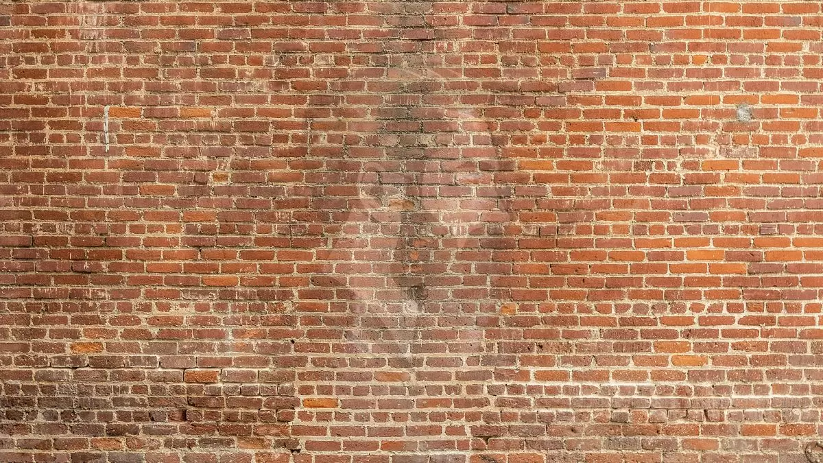 Illusion d'optique pour tester votre QI : Qu'est-ce qui est caché dans ce mur ?