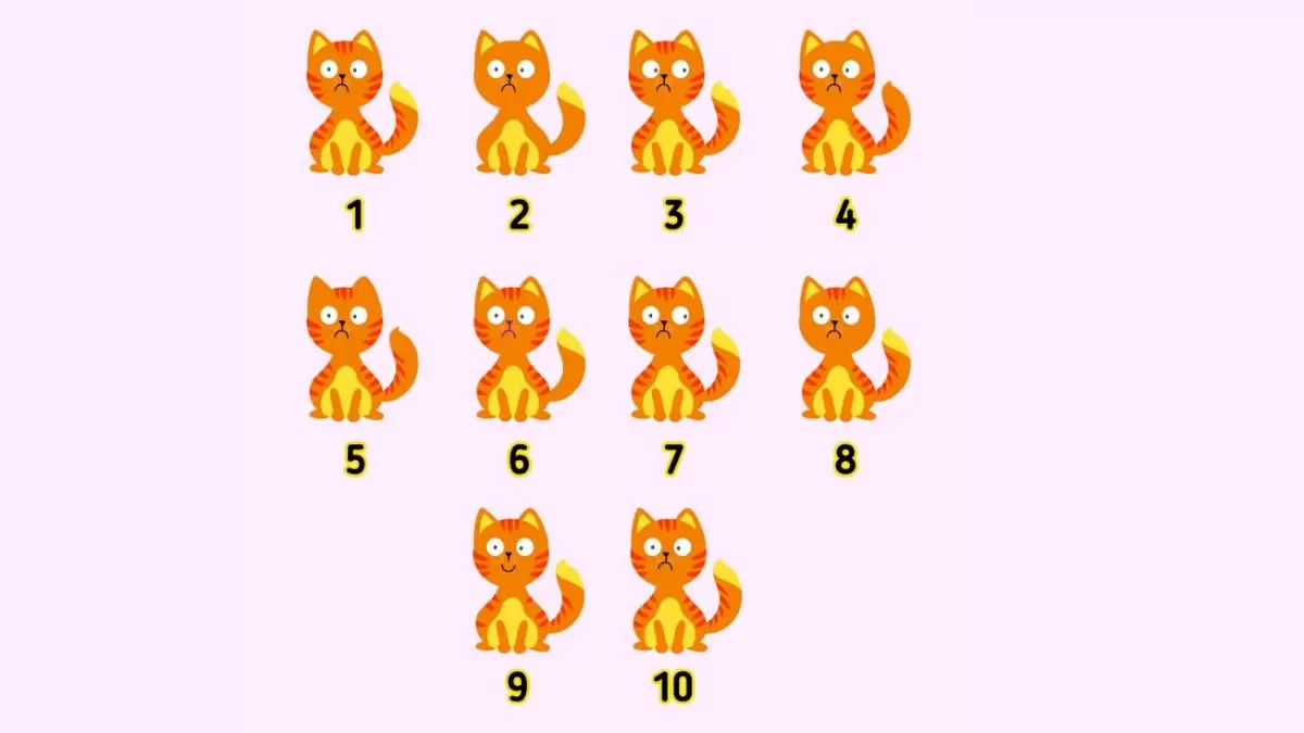 Défi des figures similaires : Il y a deux chats similaires dans cette illusion d'optique. Pouvez-vous les associer en 8 secondes ?