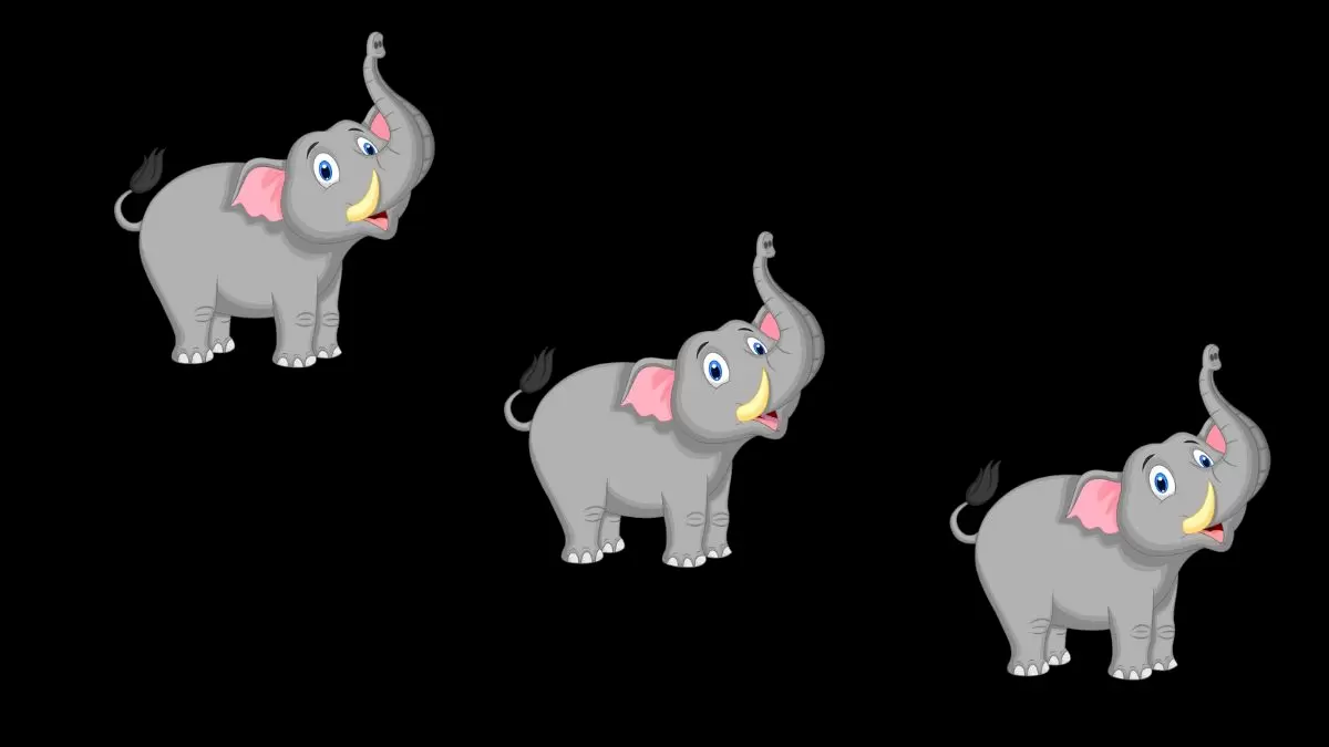 Illusion d'optique pour tester votre vision : Pouvez-vous trouver l'éléphant différent en 10 secondes ?