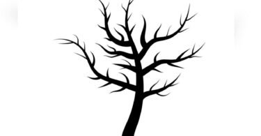 Test de personalidad: ¿Qué ves en este árbol?