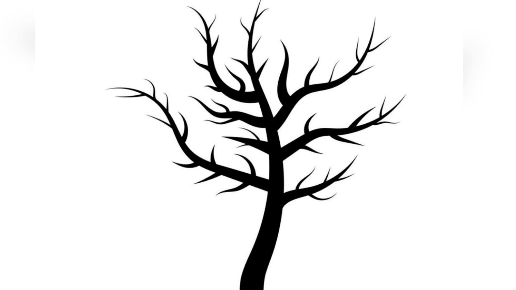 Test de personalidad: ¿Qué ves en este árbol?